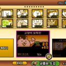 에쓰디 이미지