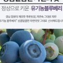 금강1농장 이미지