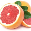 자몽공인중개사사무소 이미지