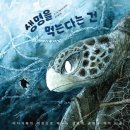 위즈덤하우스 쇼핑하우