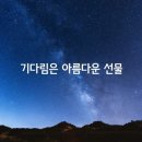 아름다운 선물 이미지