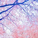 복드림공인중개사사무소 이미지