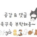 추자리막국수 이미지