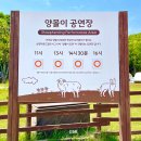 신흥목장 | 설날 연휴 강원도 여행지는 여기! 국내 겨울 가볼만한 곳 추천