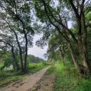 마봉재보루 이미지