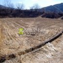 동호리 농장 이미지