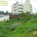 안일주유소 이미지