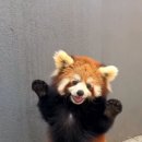 트렌드아카데미 이미지