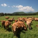 중우농장 이미지