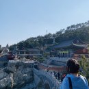 대티약국 | [부산여행] 우리나라에서 가장 아름다운 절 해동용궁사
