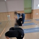 요가시와 | 아앤빈요가 다니는 후기, 시르샤부터 핀챠까지 성장 기록