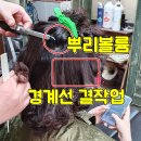 리가헤어살롱(RIGA HAIR SALON) | 탄머리복구방법 전주 복구펌 확실히 달라요.