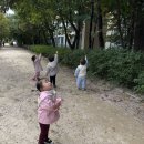 10월24일(금)-중랑절 만들기 (지역사회연계-굿윌스토어방문) 이미지