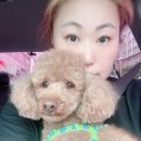 보드미동물병원 | 갈매동 동물병원 보드미동물병원