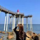 청하슈퍼 | 가볼만한곳 - 갯마을차차차 촬영지 청하시장(공진시장), 보라슈퍼, 오윤카페, 윤치과, 호미곶, 이가리...