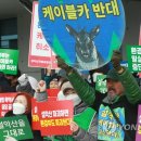 설악산에 새 케이블카 들어선다…환경평가 '조건부' 통과(종합2보) 이미지