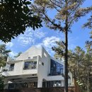 10월펜션 | 순천 여행 1. 지각 가을 🍂10월 숲캉스 머물 인 어우림 펜션 후기