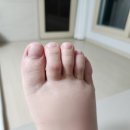 쌍둥이 임산부의 29주, 30주 일상