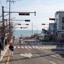 건널목 앞 | 부산에서 슬램덩크 감성 느끼는 곳, 해운대 청사포 건널목 후기