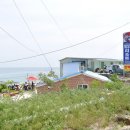 털보리조트 이미지