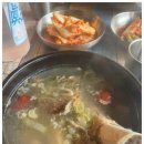 꽃돼지모임 이미지