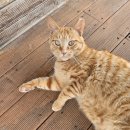 동광환승정류장 이미지