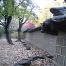 서울(덕수궁 돌담길을 거닐면서)