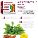 썬라이더 포츈딜라이트 후기