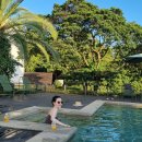 이영애농장 이미지