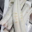 영농조합법인세종명품한우 | 몸보신 끝판왕! 금남면 '(구)두툼참숯풍천장어' - (현)토리코소바