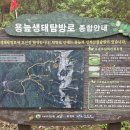 심적유원지 이미지