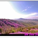 만석초등학교 이미지