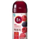 장어광장 이미지