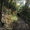 삽시도둘레길 이미지