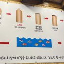 수원 드림바다 실내 낚시터 이미지