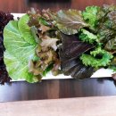 장금이유기농우렁쌈밥 이미지