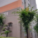 작전풍림아파트 이미지