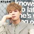 허니스트