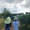 제주 스탠다드 이미지