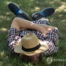 시에스타 이미지