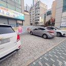 부산동물병원 | 버디닥 강아지 건강검진 부산 정직한 동물병원 후기