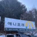 [ 강원도 ] 평창 애니포레 , 알파카 안 보고 온 후기 (애견동반 가능)