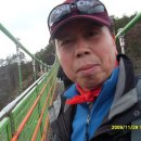 하늘다리 이미지