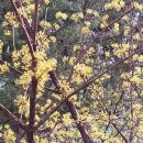 뿌리 철학B 이미지