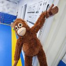 MTA 차니 태권도장 이미지