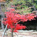 장춘여관 이미지