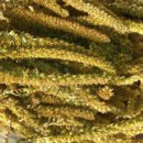 종기농장 이미지