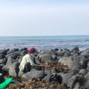 화연이네 이미지