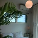 제주도펜션바다너머집 이미지