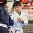 BD 주짓수 이미지